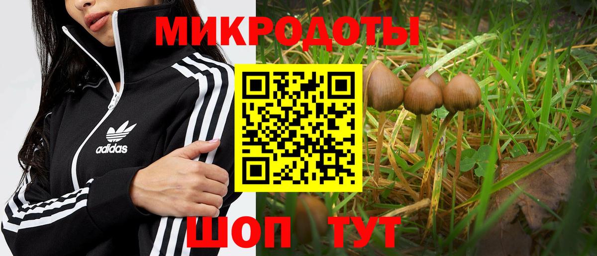 Псилоцибиновые грибы мицелий  закладки  Карачаевск  Вход с VPN  Псилоцибиновые грибы Cubensis 