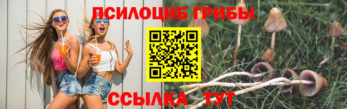 Галлюциногенные грибы ЛСД Карачаевск